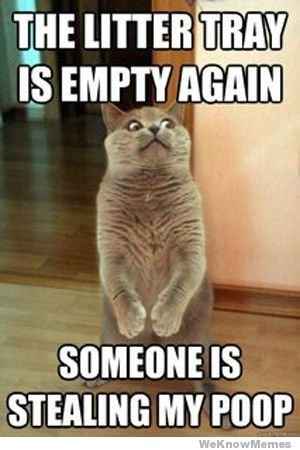This is how I feel about wedding planning....