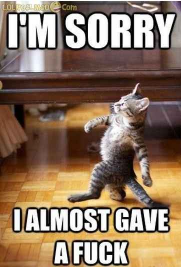 Mrs S ... We need to start another funny Cat thread!