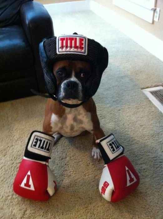 Good Morning Monday.....I'm here to kick your A$$ =) (this is my DIY!!)