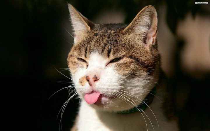 Mrs S....