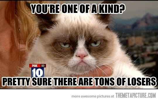 TGIF! Friday Cat Pics Included