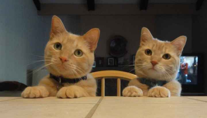 NWR- I hate eating alone :(