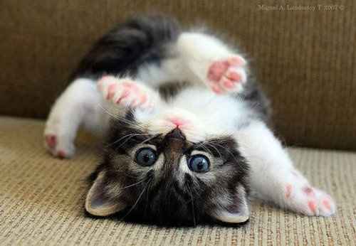 Having a hard day..