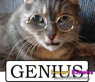 Healthy healthy healthy