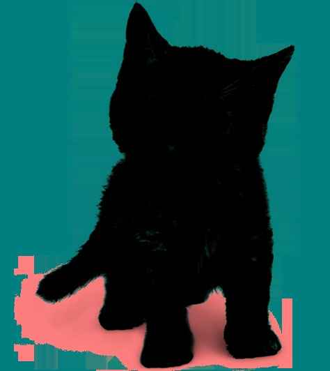 attaching word documents