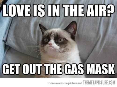 KWR - I feel sort of dumb asking this - legit website?