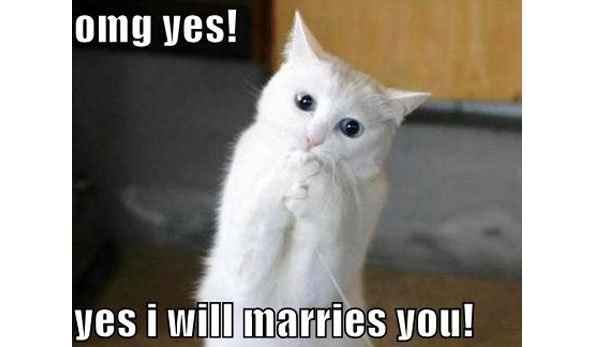 Pictures of him "popping the question"