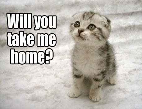 Adoption?