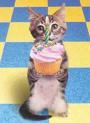 Happy birthday, Kris!