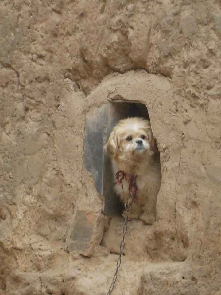 NWR: Did Kris get out of the cave?