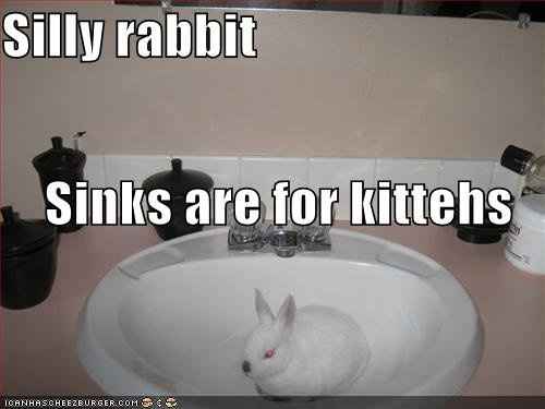 Silly Rabbits