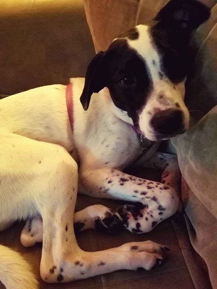 NWR: Show me your pups!