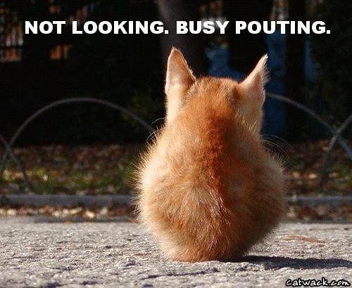 =) So....last night was fun.....