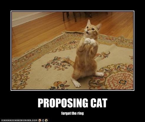 Pictures of him "popping the question"