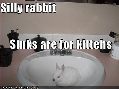 Silly Rabbits