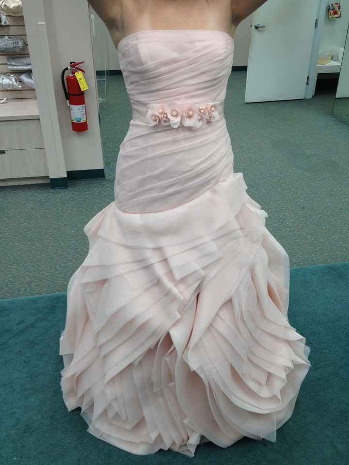 PICKED MY DRESS! (pics!)
