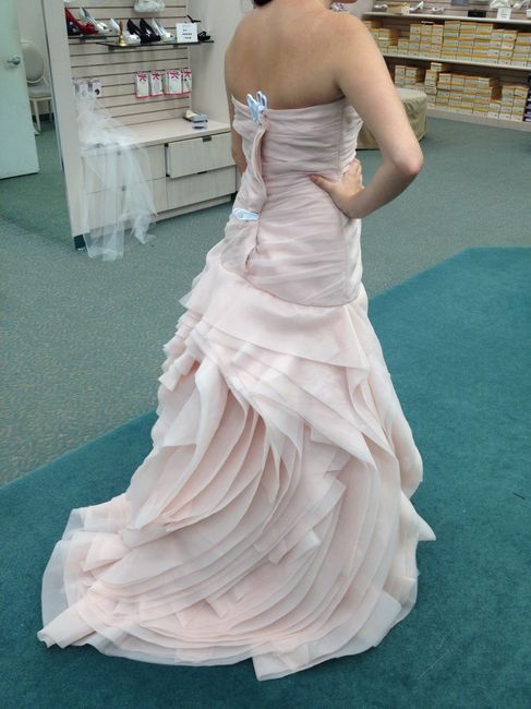 PICKED MY DRESS! (pics!)