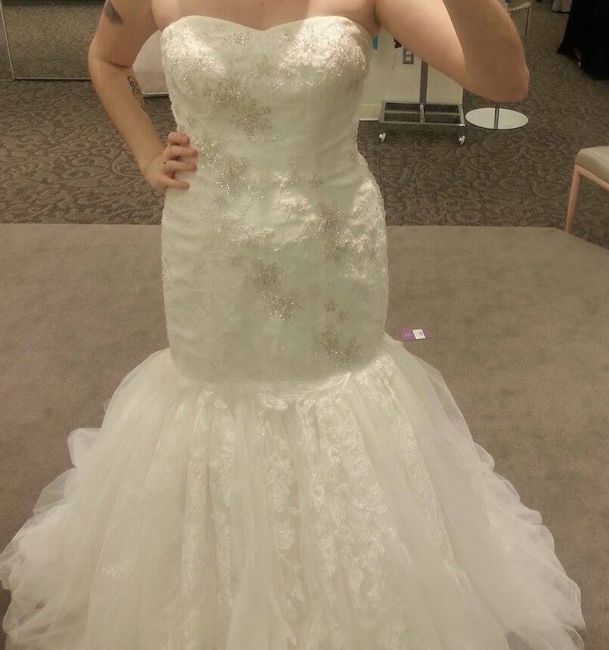 FINALLY found a gown!