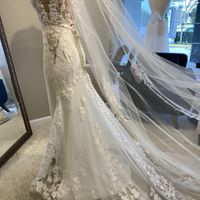 Wedding Dress too Sexy?! - 2