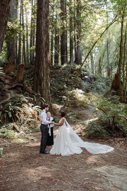 Dress bra cups wrong color 4