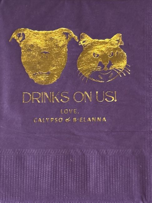 Hilarious diy Napkin Fail 2