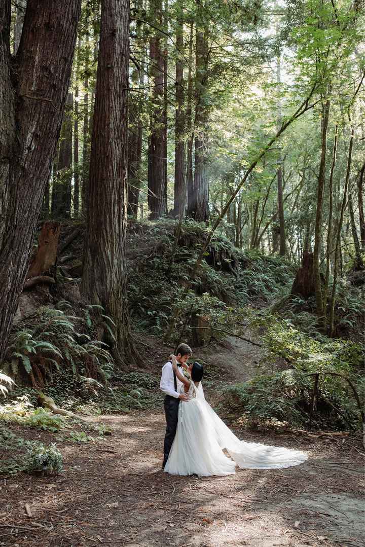 Dress bra cups wrong color - 1