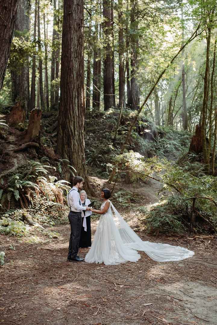 Dress bra cups wrong color - 1