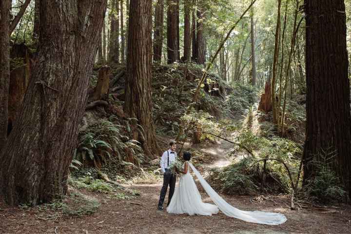 Dress bra cups wrong color - 2