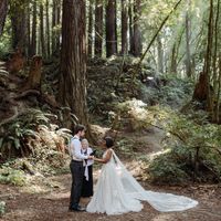 Dress bra cups wrong color - 1