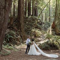 Dress bra cups wrong color - 2