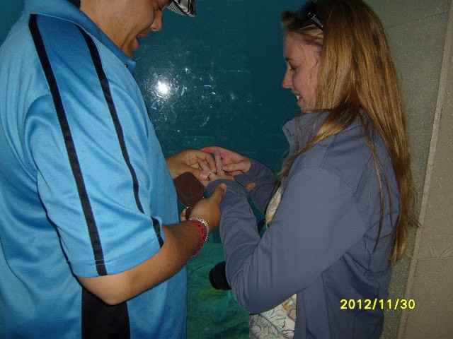 Show me your proposal pictures!(or e-pics)