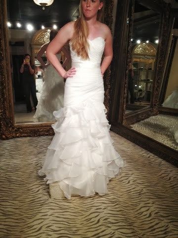 having second thoughts on sash. opinions please!