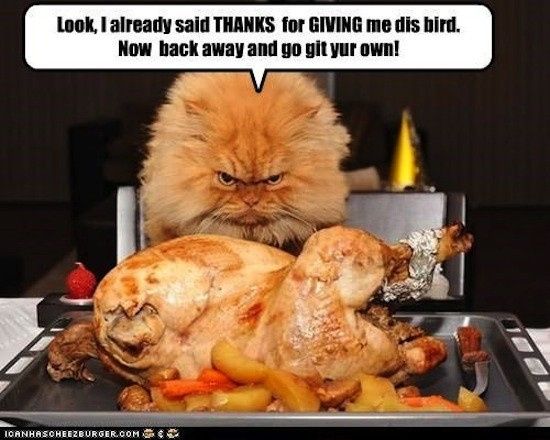 NWR: Let's talk Thanksgiving food
