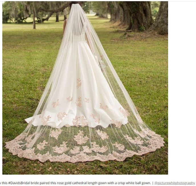 Ivory 1950s veil? Fascinatior/birdcage veil?  Rose Gold Veil with Ivory Dress? please help 13