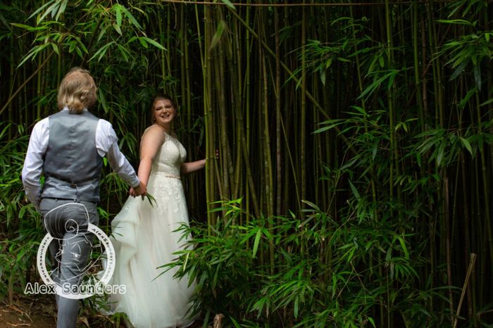 Hawaii Wedding Planning...help! 2