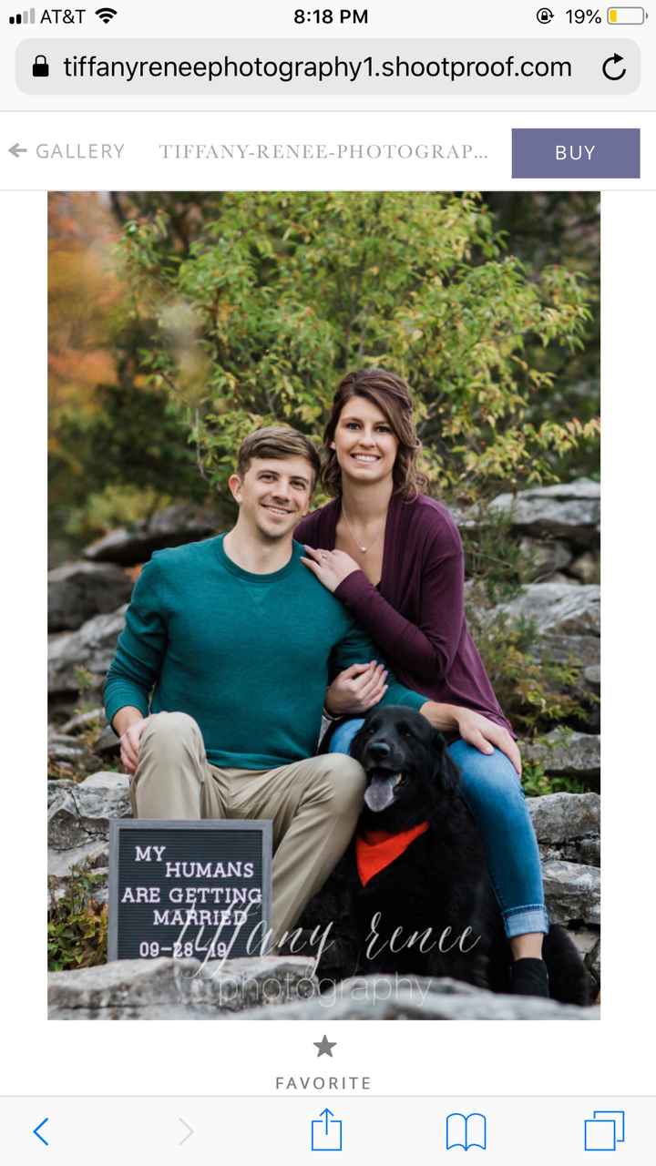 Creative ways to incorporate pets in the wedding? - 2