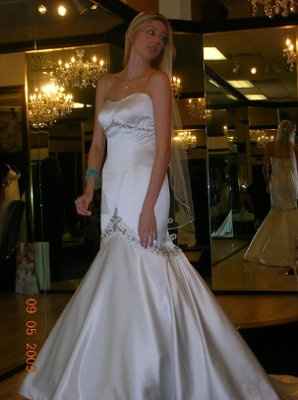 Not your dream dress (pic heavy)