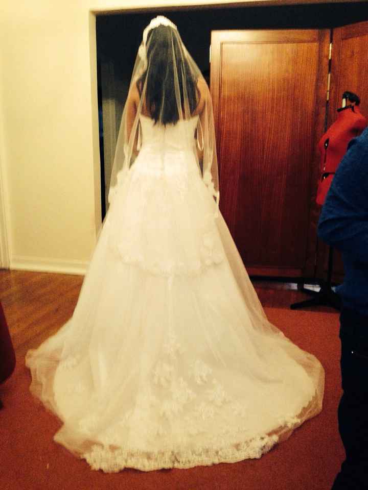 So my dress is tight for me ... But which veil?