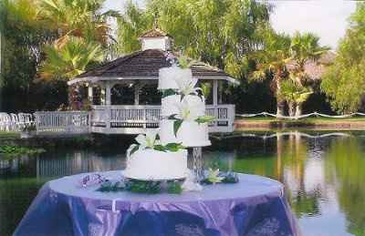 Show Me Your.....Venues! Reception and Ceremony