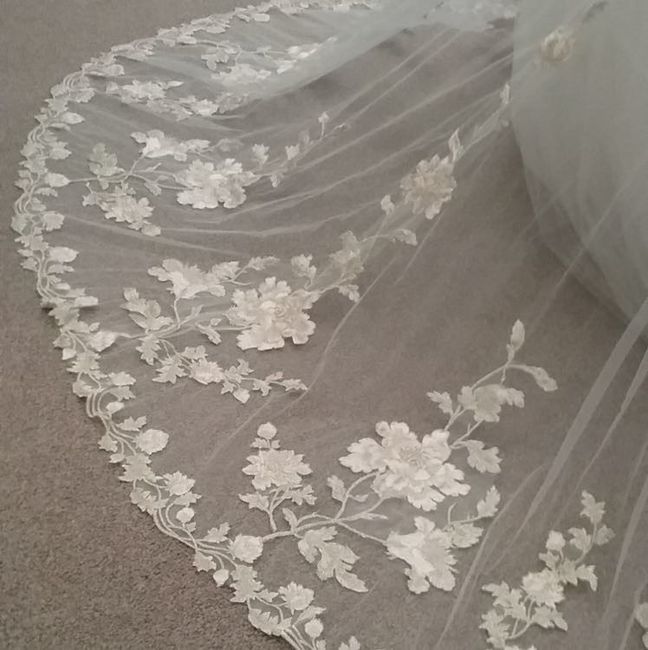 Plus Size Lace or Tulle Wedding Dresses -- show me yours?