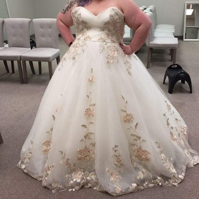 Have you said YES to the DRESS?