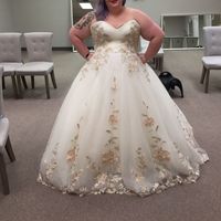 Size 22 & 24 brides!