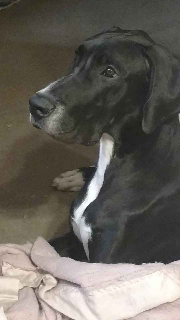 2 weeks out. Busted lip!