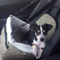 Something old, something new...