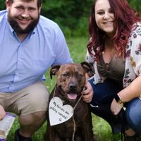 Show off your favorite engagement pictures - 1