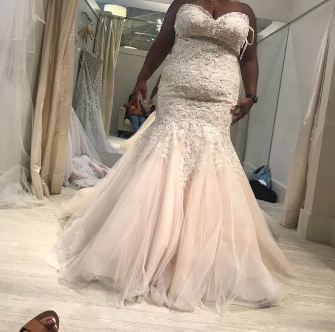 i can’t decide on my dress - 3