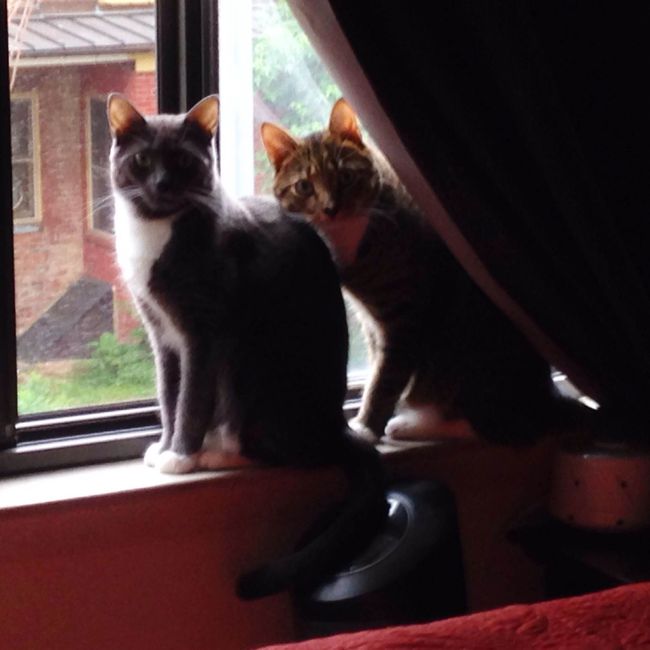 NWR- Fuzzy buddies