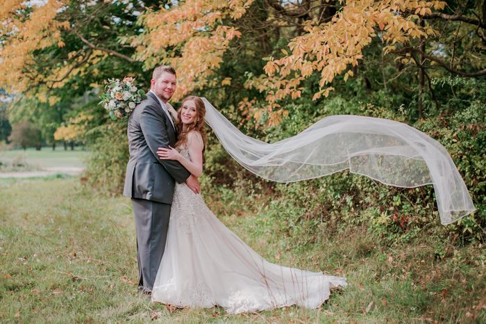 Chapel or cathedral veil with this dress? 3