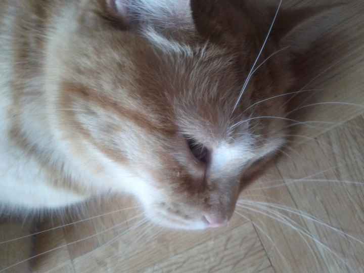 NWR- Furbaby Friday