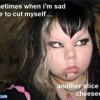 well shit i'm going to go apply for food stamps so ya'll can feed my guests.